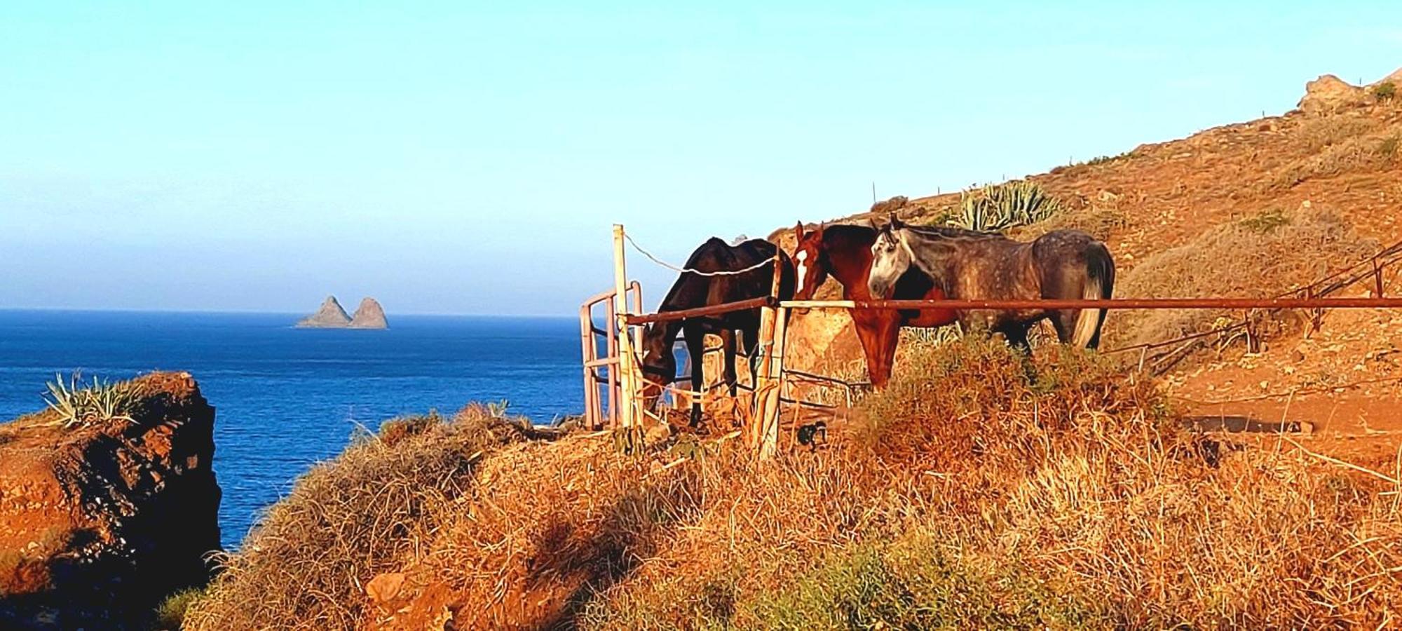 Casa Tucho Paraiso Sea Sound Santa Cruz de Tenerife Exteriör bild